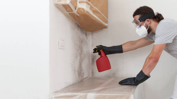 Professional Attic Mold Remediation technician working in Concord, NC