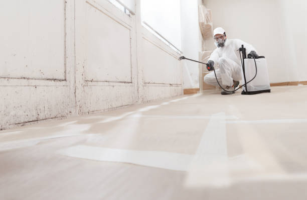 24/7 Emergency Attic Mold Remediation experts in Concord, NC