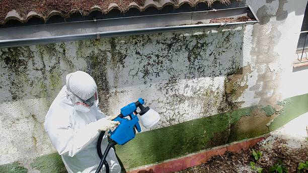 Top rated local Attic Mold Remediation specialists in Concord, NC